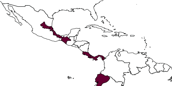 map of Irenangelus townesorum     Evans, 1969